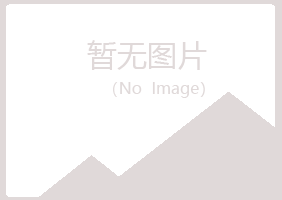 昆明白山律师有限公司